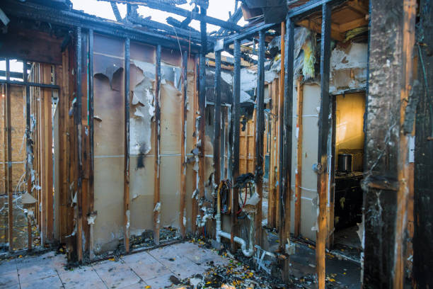 Professional Odor Removal technician working in Candlewick Lake, IL
